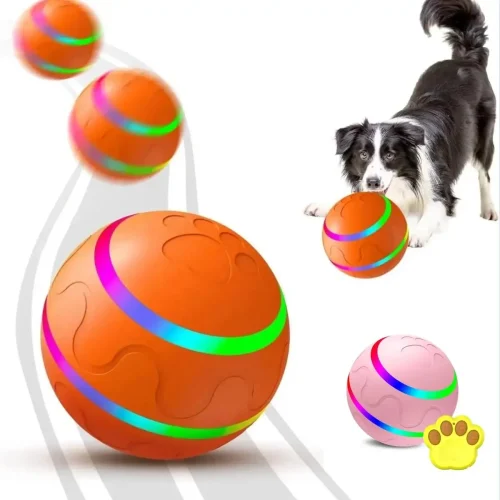 Interactive Pet Ball Remote Control