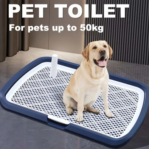 Dog Potty Plastic Training Toilet