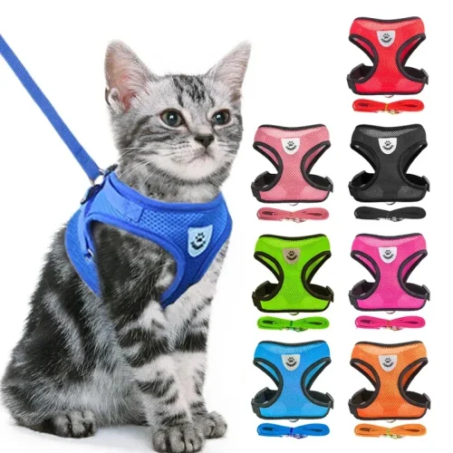 Cat/Puppy Dog Mesh Harness with Leash